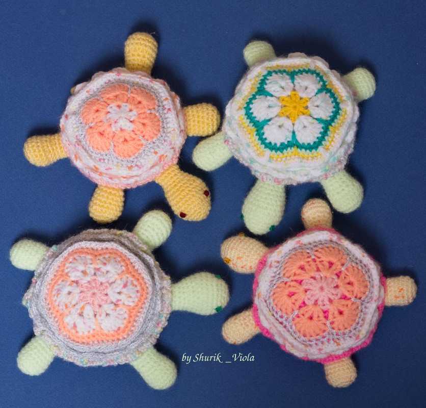 Piques-Aiguilles tortues - Shurik Viola