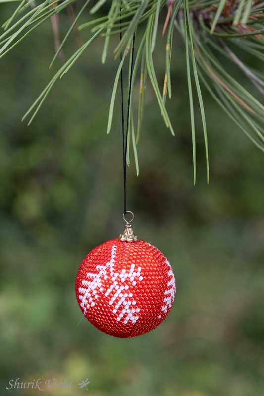 Boule de Noël / Christmas ball - Shurik Viola