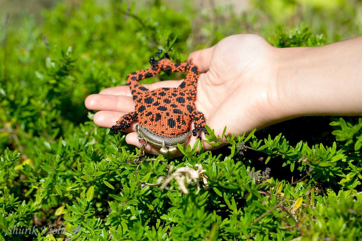 Small purse frog / Porte monnaie grenouille - Shurik Viola